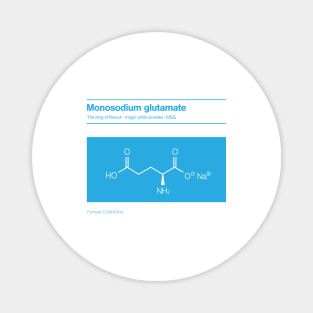 MSG Monosodium glutamate Magnet